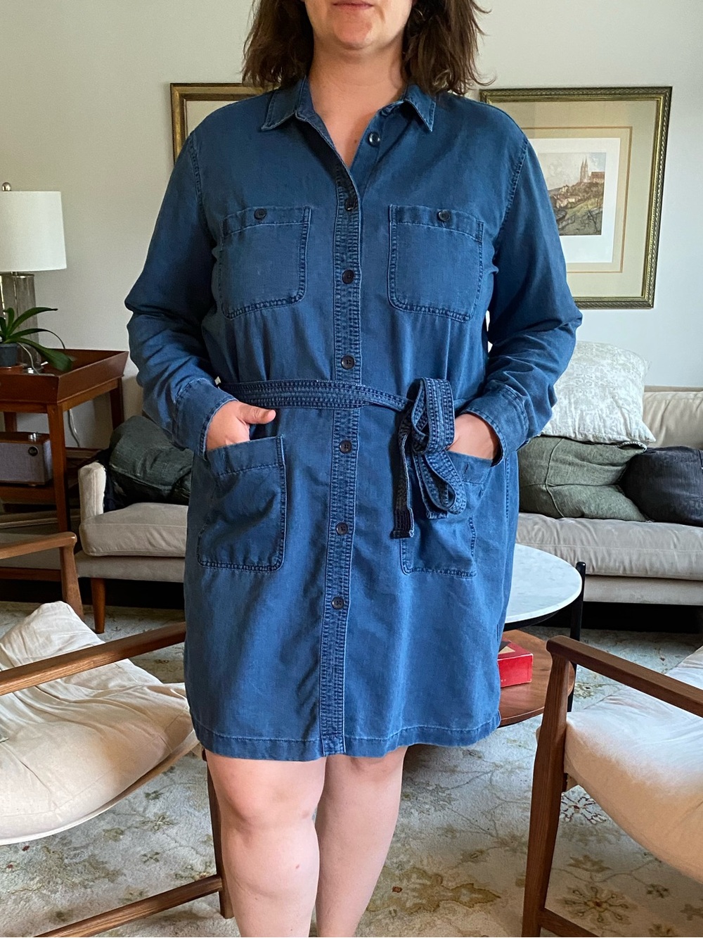 GAP Blue Denim Button-Front Shirt Dress